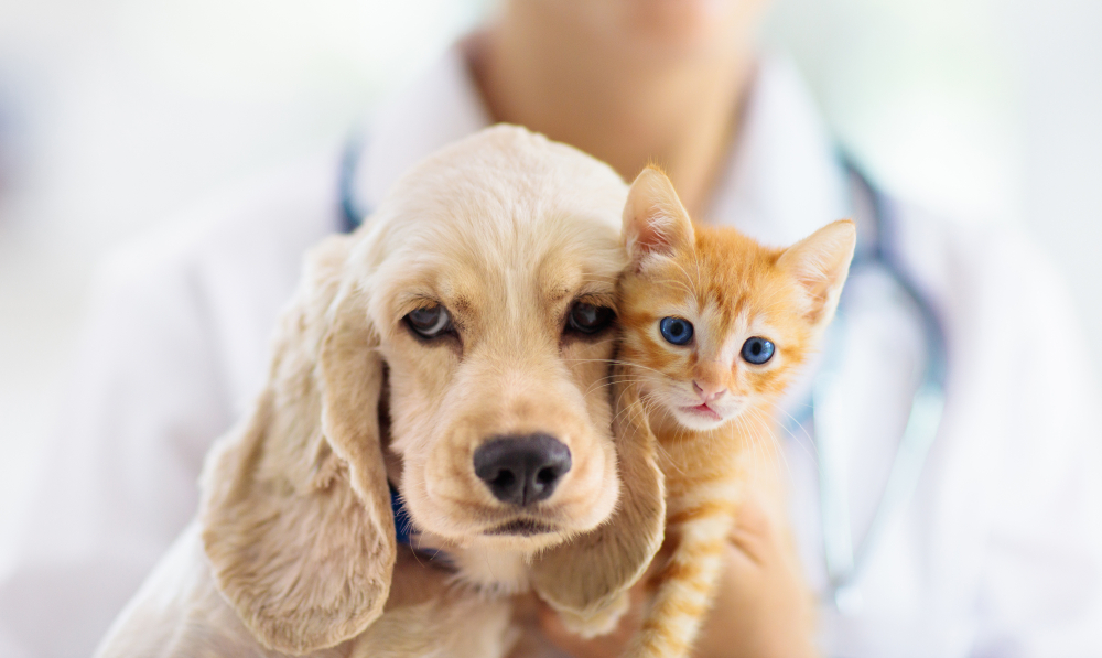 About Us - Pet Vaccination Services